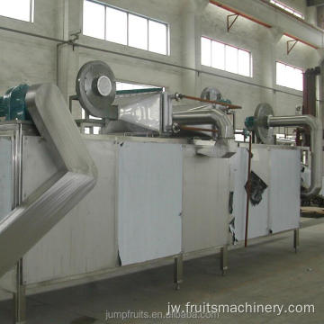 Jinis pengering lan mesin pangatusan panganan anyar